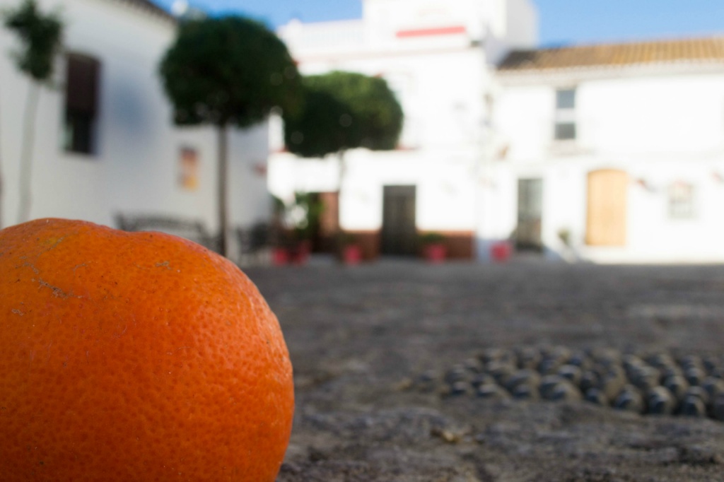 02  Febrero Dia de Andalucia Iv n Garc a M rquez 2 BSA